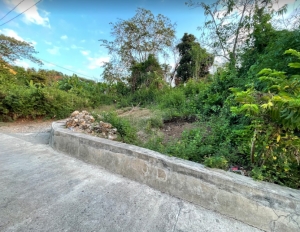 Elevated Lot along cemented road, 3KM to Surf Town, San Fernando City, La Union